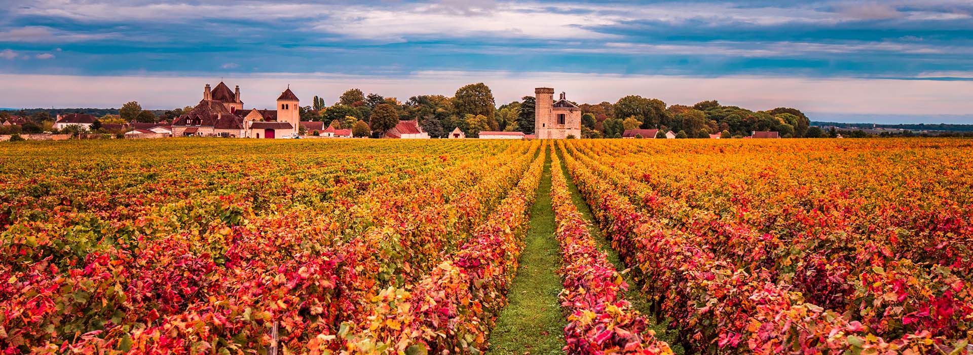 Weine aus Frankreich